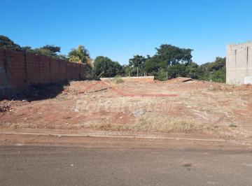 Terreno , Leme · Terreno à Venda - Jardim São Manoel - Leme/SP