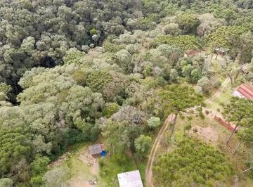 4407495_0.jpg · Chácara em CAMPO LARGO com 7.846,00m²