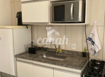 Apartamento · 31m² · 1 Quarto · 1 Vaga · Apartamento para alugar no Vila Monte Alegre - Ribeirão Preto