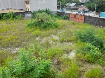 v9871a.jpg · Terreno - Pestana