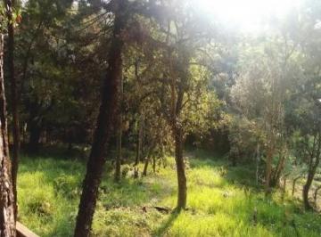 v5250a.jpg · Terreno - Jardim Paulista