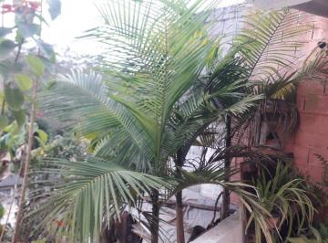 Foto · Casa, Jardim Embuema, Embu das Artes, SP