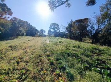 Rural · 19271m² · Chácara à venda, 19271 m² por R$ 698.000,00 - Avencal - São José dos Pinhais/PR