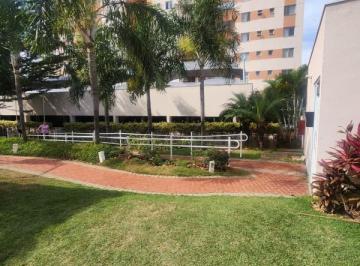 apartamento-com-2-quartos-em-belo-horizonte-mg-no-bairro-serrano-imovel431983-img6a299c1bd8ebf.jpg · Apartamento com 2 quartos à venda em Belo Horizonte, no bairro Serrano