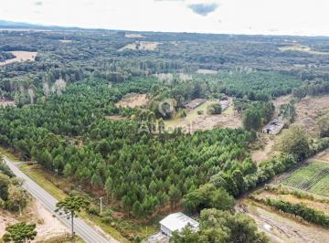 Terreno · 444187m² · Sítio à venda com 44 hectares de natureza preserva