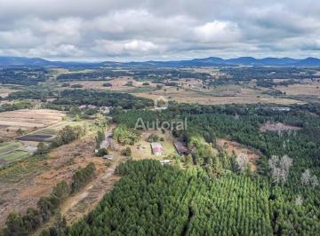 Rural · 444187m² · Sítio à venda, a apenas 50 km de Curitiba. Com 44