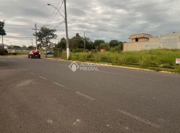 Terreno · 262m² · Terreno no Jardim Timbaúva em Gravataí