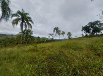 Foto 13 · Fazenda, Rural, Eldorado, SP