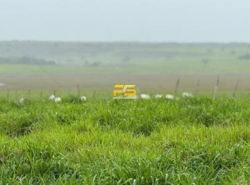 Rural · 1900000m² · FAZENDA À VENDA – MACAÍBA/RN