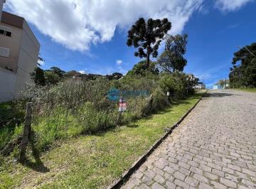 24761614_4.jpg · No Villa Alpina terreno com 420m² Caxias do Sul