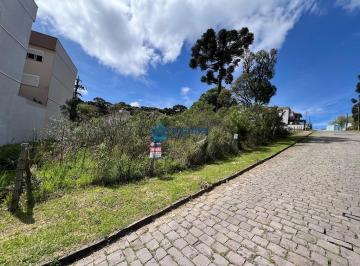 24761508_4.jpg · Terreno com 780m² Villa Alpina Caxias do Sul
