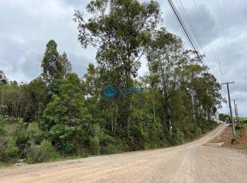 24776038_4.jpg · Terreno RS122 com 29.096m² saida para Flores Cunha