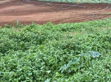 Rural · 11308m² · 4 Quartos · Chácara em Campinas, Sumidouro/RJ de 11308m² 4 quartos à venda por R$ 1.200.000,00