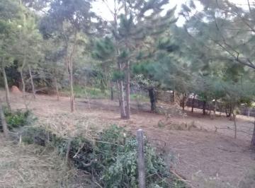 a12523c261018acfa3e04b888d6e26a174b71616 · Terreno Residencial à venda, Jardim Maristela, Atibaia - TE0496.