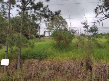 60ea69f4097ff70ecdc7a24c4077e55ab48ad296 · Terreno Residencial à venda, Chácaras Fernão Dias, Atibaia - TE0427.