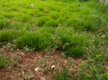 2e63588c3d72b02fe569fe3fdf298092cefe9b7f · Terreno Residencial à venda, Atibaia Jardim, Atibaia - TE0475.