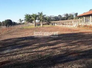 Rural de 1 quarto, Londrina · Chácara em Gleba Fazenda Palhano, Londrina/PR de 10m² 1 quartos à venda por R$ 2.300.000,00