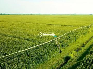 Imagem 1 · Fazenda