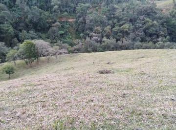 Imagem 1 · Fazenda