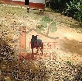 Rural · 48000m² · 2 Quartos · Rurais à venda - em Ibiúna