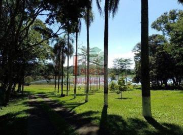 Rural · 61000m² · 7 Quartos · Rurais à venda - em Sebandilha