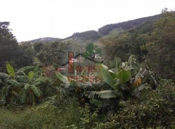 Rural · 1000m² · 3 Quartos · Rurais à venda - em Ibiúna