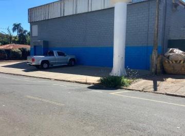 202606121245479175.jpeg · Galpão Comercial Jardim Primavera Rio Preto