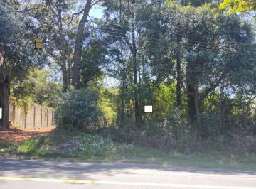Terreno · 11m² · Terreno desocupado em Avenida Asfaltada !