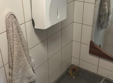 Comercial de 1 quarto Venda R$ 260.000 · Sala Comercial com vaga coberta no bairro Petrópolis em Porto Alegre Rs