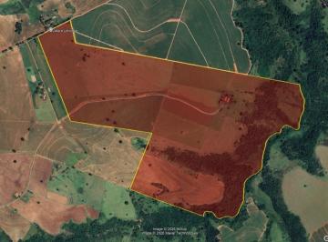 Fazenda Argentina, 169,4 Hectares, Oscar Bressane/SP - Foto [1] · Fazenda Argentina, 169,4 Hectares, Oscar Bressane/SP