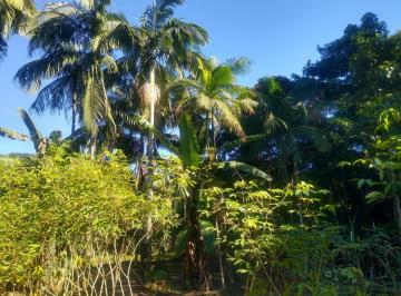 ESTRADA DE ACESSO · Terreno, 2.000 m², à venda por R$ 150.000 - Rio Sa