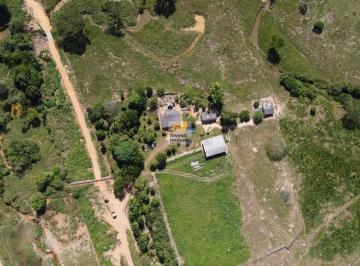 Foto 01 · OPORTUNIDADE! FAZENDA À VENDA NA ZONA RURAL DE JI-PARANÁ