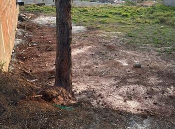 Foto 01 · Terreno para venda com 130m² na Vila Nova Aparecida em César de Souza.