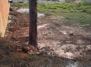 Foto 01 · Terreno para venda com 130m² na Vila Nova Aparecida em César de Souza.