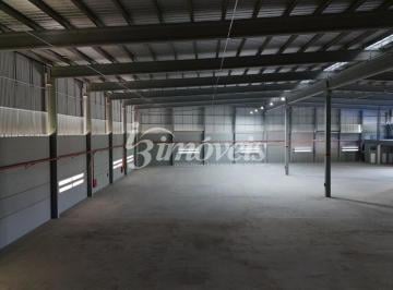 Comercial · 6500m² · Galpão industrial novo, para locação anual, 6500m² de área construída, Ilhota-SC.