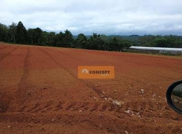 b5dbe58ec54e354185db64d9a9d8f3163e60d707 · Área à venda, 1000 m² por R$ 300.000 - Ipelândia - Suzano/SP
