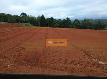 4c1bf23926cfc78e5b1f74405db37d0b32c6d438 · Área à venda, 1000 m² por R$ 300.000 - Ipelândia - Suzano/SP