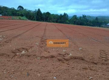 cd2d024f793e79dd0d6d798a79e2dc58bfabda40 · Área à venda, 1000 m² por R$ 300.000,00 - Ipelândia - Suzano/SP