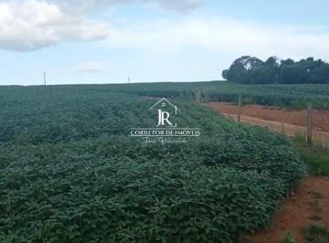 i1.jpg · Fazenda de 30 Alqueires - Alfenas MG