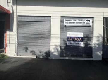 Comercial · 250m² · Salão Comercial | Avenida Doutor Alexandre Rasgulaeff