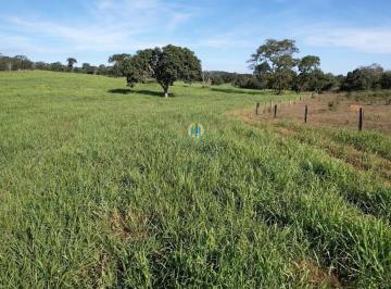 Rural · 1157m² · Fazenda à venda em Alto Araguaia/MT
