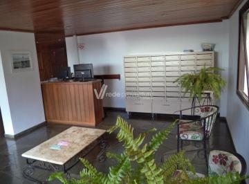 0 · apartamento para aluguel em Vila Nova