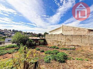 2ef5f350ea68db4cc09b9eaeab8c838abd0ce467 · Terreno à venda, 250 m² por R$ 230.000,00 - Jardim São Miguel - Bragança Paulista/SP