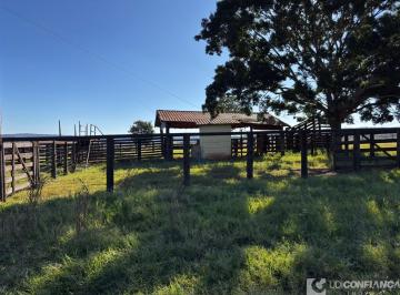 Imagem 1 · Fazenda
