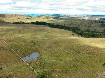 Imagem 1 · Fazenda
