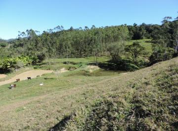 Imagem 1 · Fazenda