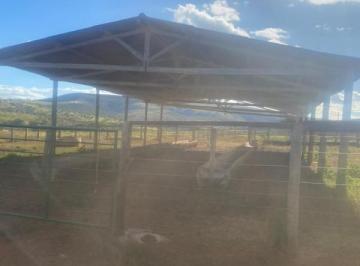 Imagem 1 · Fazenda para venda em Centro, Paraopeba