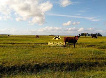 Imagem 1 · Fazenda