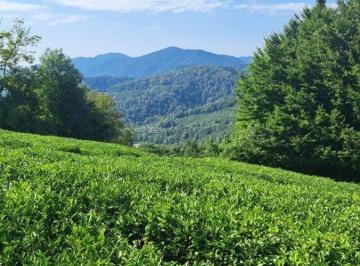 Terreno , São Roque · Transforme 1.000m² de natureza em um chalé que gera renda o ano todo