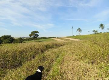 Rural de 4 quartos, Sarapuí · Sítio Região de Sorocaba com 19,5 Alqueires